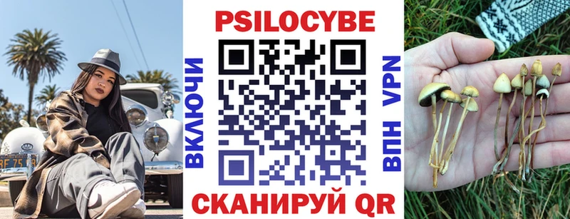 Псилоцибиновые грибы мицелий  Липки 